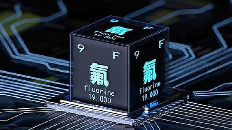 宠物食品防腐剂的选材关键：安全性与效果的平衡**