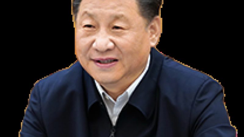 无机化工原料重金属检测：样品量为何如此关键？**